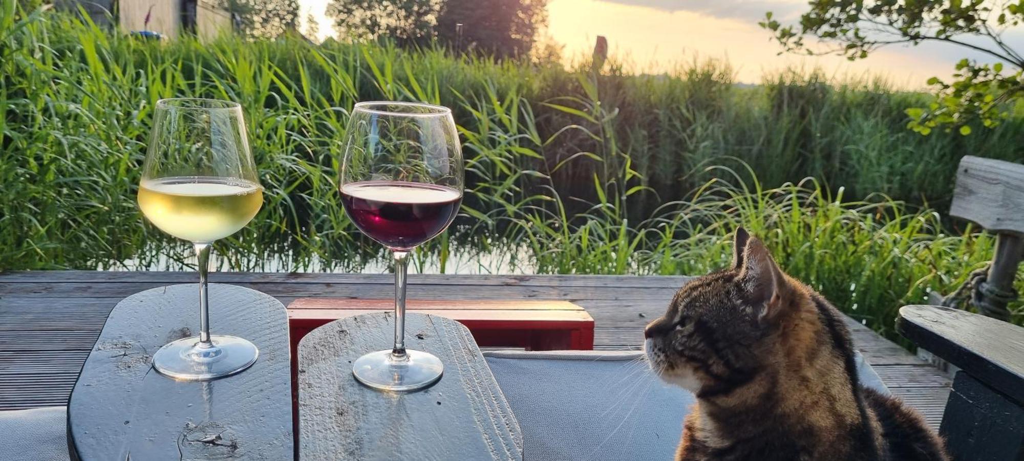 Slapen Bij Bonanza Βίλα Bantega Εξωτερικό φωτογραφία